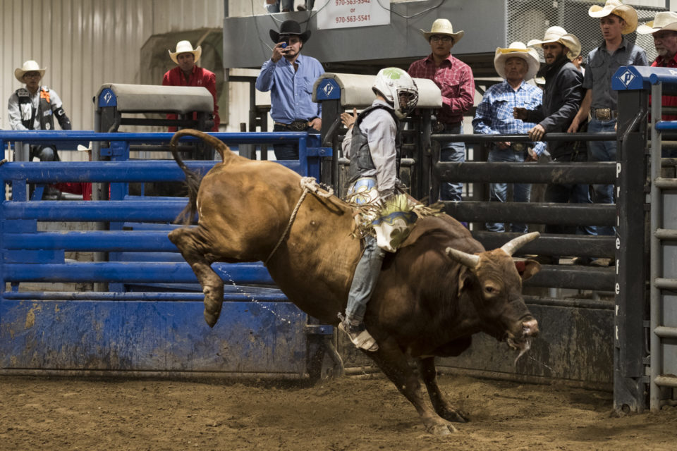 The Southern Ute Drum | Southern Ute Tribal Fair: Rodeo