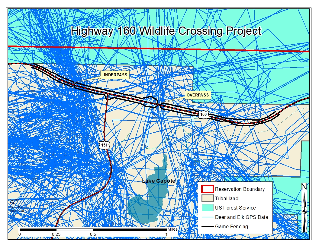 US 160 Wildlife Crossing A Boon For Big Game Migrations – The Southern ...