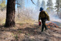 Natural ignition spurs innovative fire management in San Juan National ...